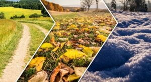 4 Essential Autumn Driving Tips to Keep You Safe on Northern Ireland Roads