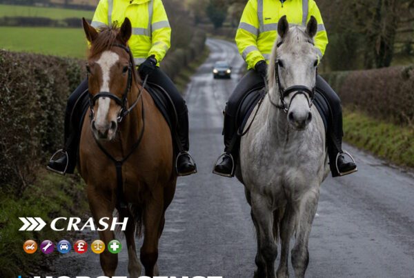 Essential Tips for Road Safety Around Horses in Northern Ireland